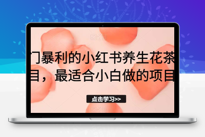 冷门暴利的小红书养生花茶项目，最适合小白做的项目【揭秘】-狼哥资源库