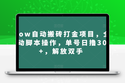 wow自动搬砖打金项目，全自动脚本操作，单号日撸300+，解放双手【揭秘】-狼哥资源库