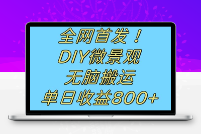 全网首发冷门赛道！DIY微景观，无脑搬运视频，日收益800+【揭秘】-创业项目致富网、狼哥项目资源库