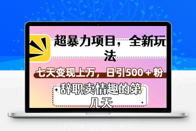 超暴利项目，全新玩法（辞职卖情趣的第几天），七天变现上万，日引500+粉【揭秘】-狼哥资源库