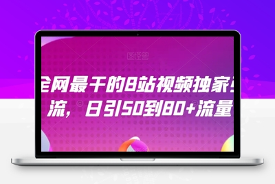 全网最干的B站视频独家引流，日引50到80+流量【揭秘】-狼哥资源库