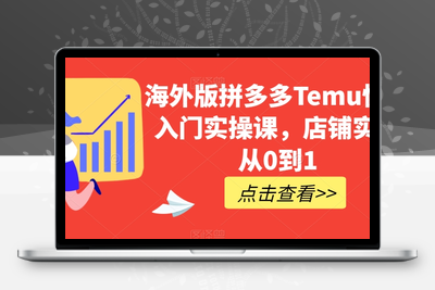 海外版拼多多Temu快速入门实操课，店铺实战从0到1-狼哥资源库