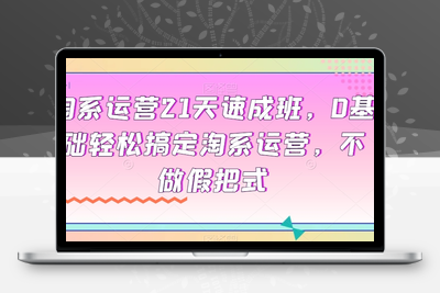 淘系运营21天速成班，0基础轻松搞定淘系运营，不做假把式-狼哥资源库