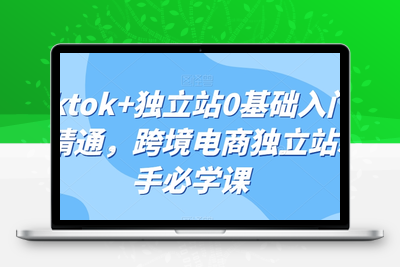 tiktok+独立站0基础入门到精通，跨境电商独立站新手必学课-狼哥资源库