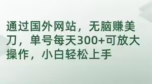 通过国外网站，无脑赚美刀，单号每天300+可放大操作，小白轻松上手【揭秘】-狼哥资源库