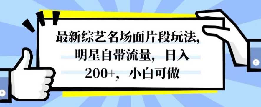 最新综艺名场面片段玩法，明星自带流量，日入200+，小白可做【揭秘】-狼哥资源库