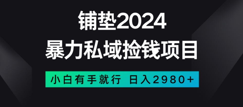 暴力私域捡钱项目，小白无脑操作，日入2980【揭秘】-狼哥资源库