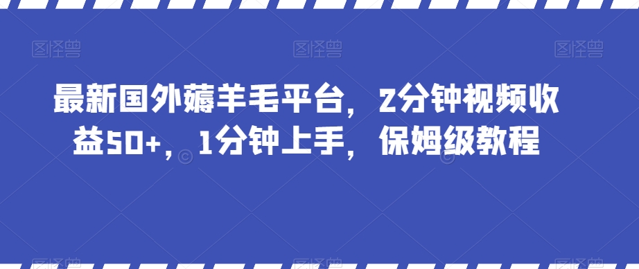 最新国外薅羊毛平台，2分钟视频收益50+，1分钟上手，保姆级教程【揭秘】-狼哥资源库