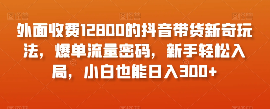 外面收费12800的抖音带货新奇玩法，爆单流量密码，新手轻松入局，小白也能日入300+【揭秘】-狼哥资源库