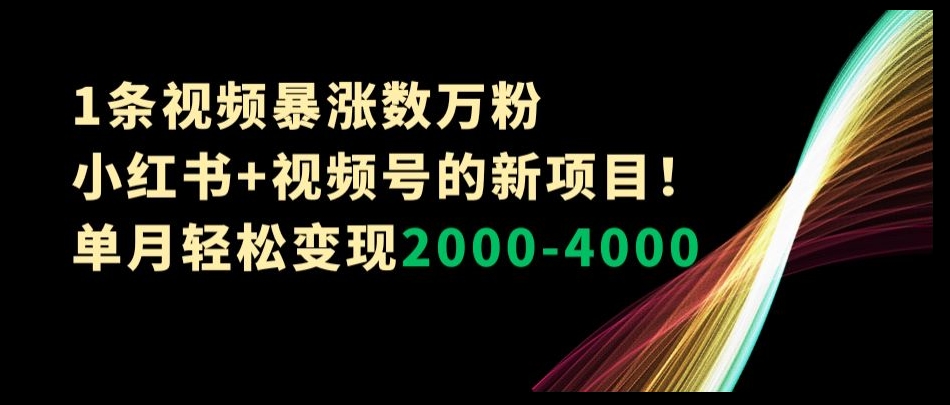 1条视频暴涨数万粉–小红书+视频号的新项目！单月轻松变现2000-4000【揭秘】-狼哥资源库