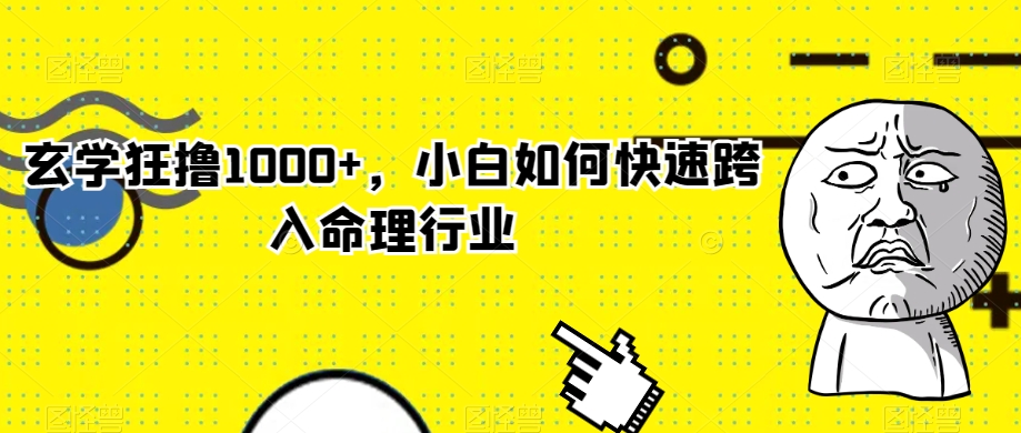 玄学狂撸1000+，小白如何快速跨入命理行业【揭秘】-狼哥资源库