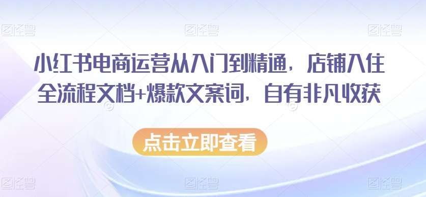 小红书电商运营从入门到精通，店铺入住全流程文档+爆款文案词，自有非凡收获-创业项目致富网、狼哥项目资源库