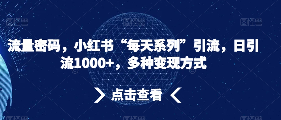 流量密码，小红书“每天系列”引流，日引流1000+，多种变现方式【揭秘】-狼哥资源库