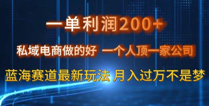 一单利润200私域电商做的好，一个人顶一家公司蓝海赛道最新玩法【揭秘】-创业项目致富网、狼哥项目资源库