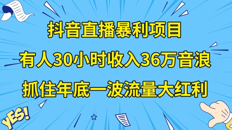 抖音直播暴利项目，有人30小时收入36万音浪，公司宣传片年会视频制作，抓住年底一波流量大红利【揭秘】-创业项目致富网、狼哥项目资源库