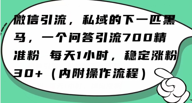 怎么搞精准创业粉？微信新赛道，每天一小时，利用Ai一个问答日引100精准粉-创业项目致富网、狼哥项目资源库