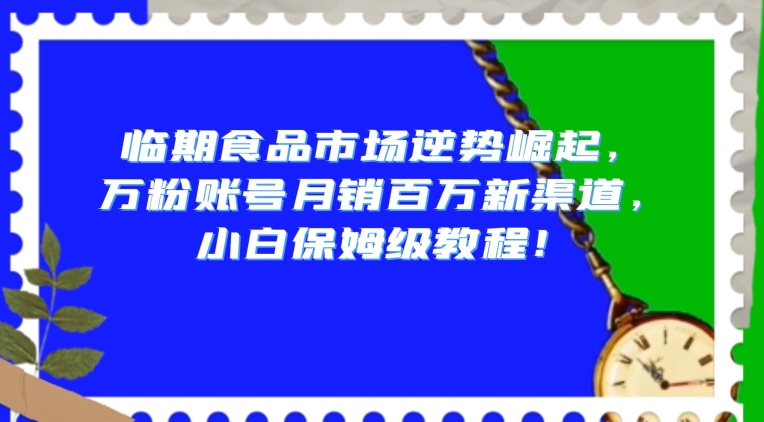 临期食品市场逆势崛起，万粉账号月销百万新渠道，小白保姆级教程【揭秘】-狼哥资源库