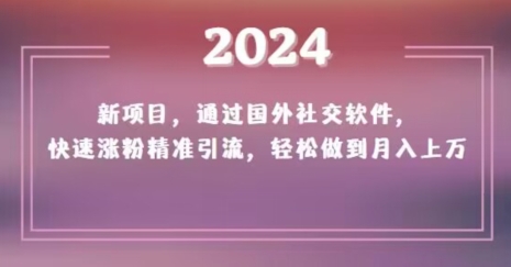 2024新项目，通过国外社交软件，快速涨粉精准引流，轻松做到月入上万【揭秘】-创业项目致富网、狼哥项目资源库