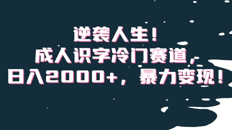 逆袭人生！成人识字冷门赛道，日入2000+，暴力变现！【揭秘】-创业项目致富网、狼哥项目资源库