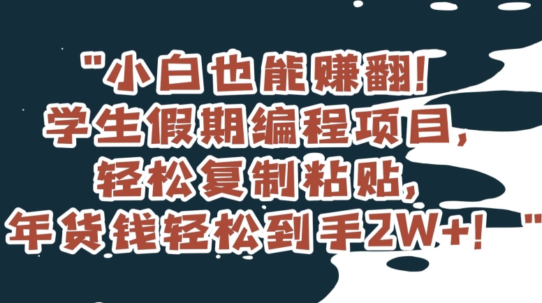 小白也能赚翻！学生假期编程项目，轻松复制粘贴，年货钱轻松到手2W+【揭秘】-狼哥资源库