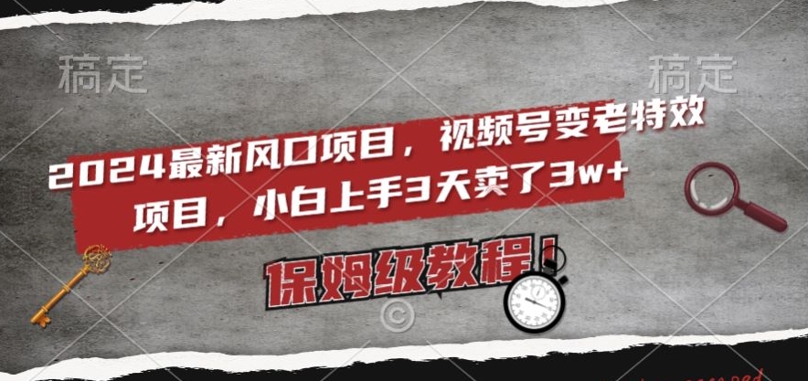 2024最新风口项目，视频号变老特效项目，电脑小白上手3天卖了3w+，保姆级教程【揭秘】-狼哥资源库