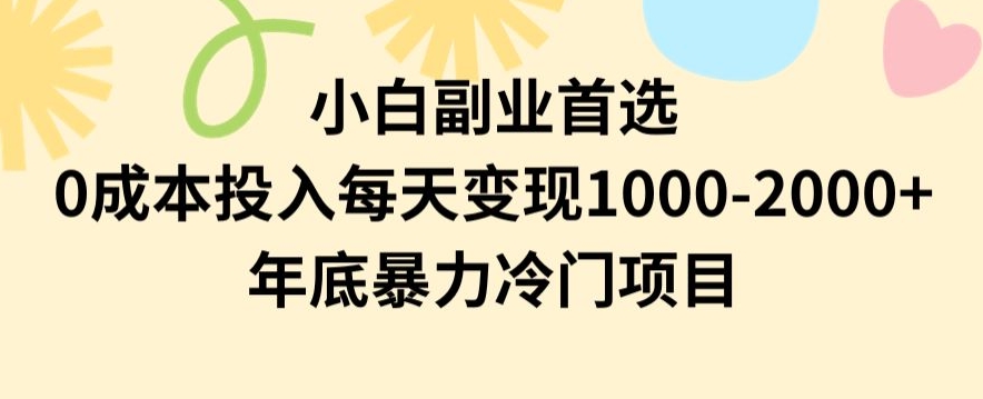 小白副业首选，0成本投入，每天变现1000-2000年底暴力冷门项目【揭秘】-创业项目致富网、狼哥项目资源库