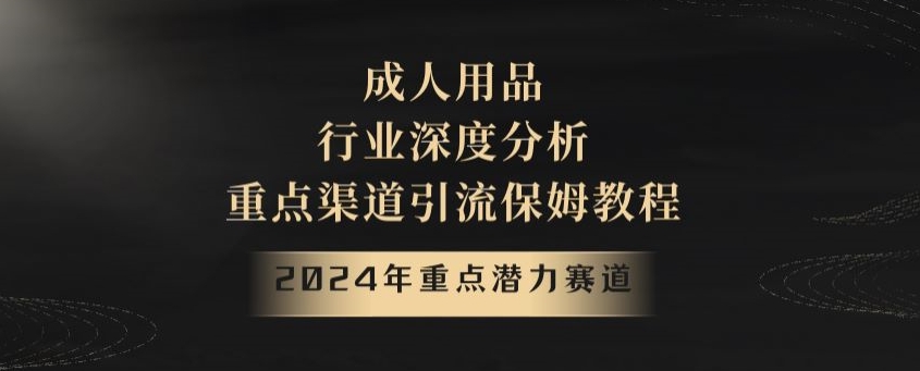 2024年重点潜力赛道，成人用品行业深度分析，重点渠道引流保姆教程【揭秘】-创业项目致富网、狼哥项目资源库