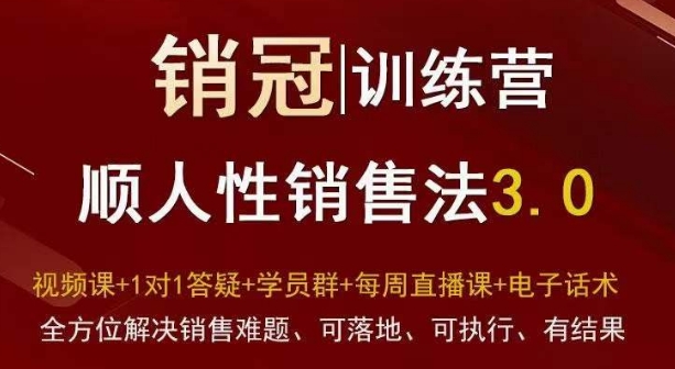 爆款！销冠训练营3.0之顺人性销售法，全方位解决销售难题、可落地、可执行、有结果-创业项目致富网、狼哥项目资源库