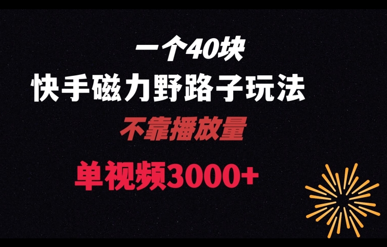 一个40块，快手联合美团磁力新玩法，无视机制野路子玩法，单视频收益4位数【揭秘】-狼哥资源库