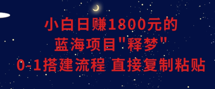 小白能日赚1800元的蓝海项目”释梦”0-1搭建流程可直接复制粘贴长期做【揭秘】-狼哥资源库