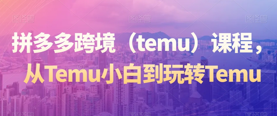 拼多多跨境（temu）课程，从Temu小白到玩转Temu-狼哥资源库