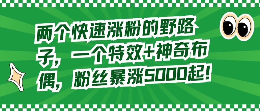 两个快速涨粉的野路子，一个特效+神奇布偶，粉丝暴涨5000起【揭秘】-狼哥资源库