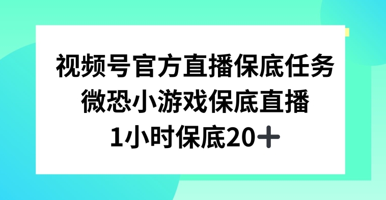 视频号直播任务，微恐小游戏，1小时20+【揭秘】-创业项目致富网、狼哥项目资源库