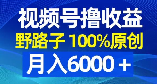 视频号野路子撸收益，100%原创，条条爆款，月入6000＋【揭秘】-狼哥资源库