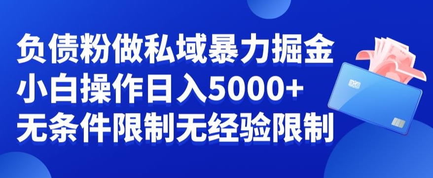 负债粉私域暴力掘金，小白操作入5000，无经验限制，无条件限制【揭秘】-狼哥资源库