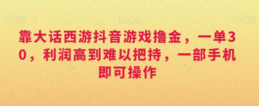 靠大话西游抖音游戏撸金，一单30，利润高到难以把持，一部手机即可操作，日入3000+【揭秘】-狼哥资源库