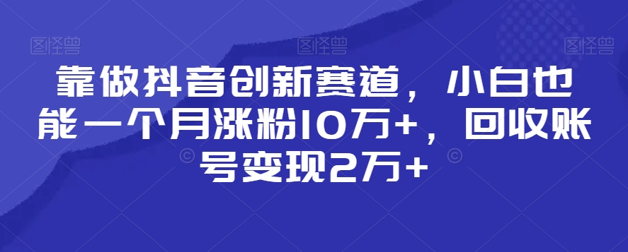 靠做抖音创新赛道，小白也能一个月涨粉10万+，回收账号变现2万+【揭秘】-狼哥资源库