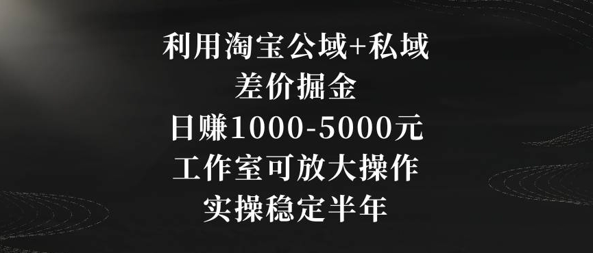 利用淘宝公域+私域差价掘金，日赚1000-5000元，工作室可放大操作，实操稳定半年【揭秘】-创业项目致富网、狼哥项目资源库