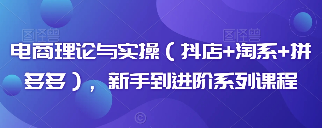 电商理论与实操（抖店+淘系+拼多多），新手到进阶系列课程-狼哥资源库