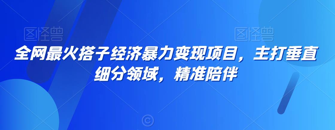 全网最火搭子经济暴力变现项目，主打垂直细分领域，精准陪伴【揭秘】-创业项目致富网、狼哥项目资源库