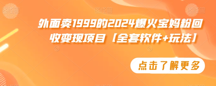 外面卖1999的2024爆火宝妈粉回收变现项目【全套软件+玩法】【揭秘】-狼哥资源库