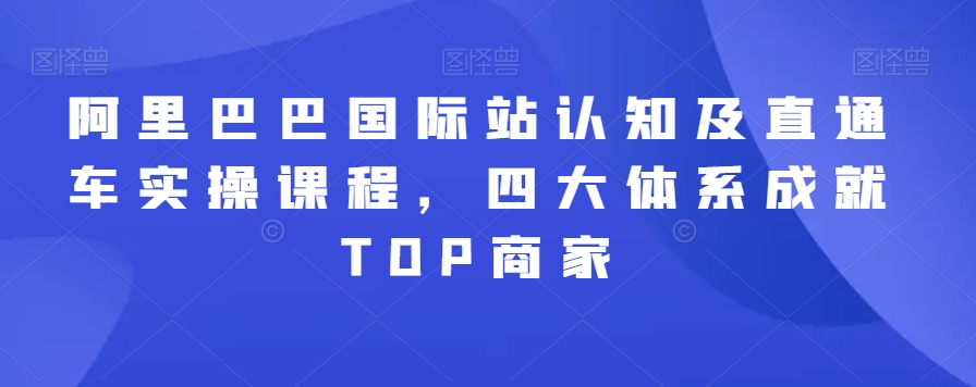 阿里巴巴国际站认知及直通车实操课程，四大体系成就TOP商家-狼哥资源库