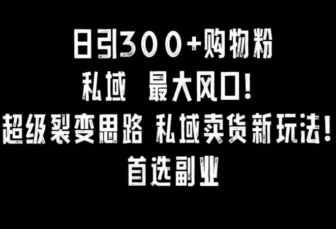 日引300+购物粉，超级裂变思路，私域卖货新玩法，小红书首选副业【揭秘】-创业项目致富网、狼哥项目资源库