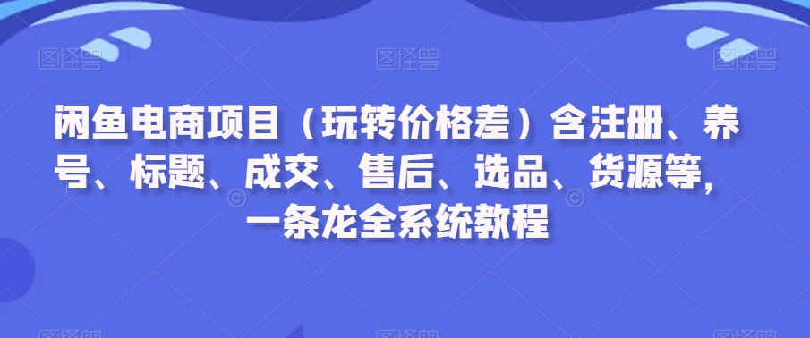 闲鱼电商项目（玩转价格差）含注册、养号、标题、成交、售后、选品、货源等，一条龙全系统教程-狼哥资源库