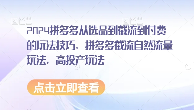 2024拼多多从选品到截流到付费的玩法技巧，拼多多截流自然流量玩法，高投产玩法-创业项目致富网、狼哥项目资源库