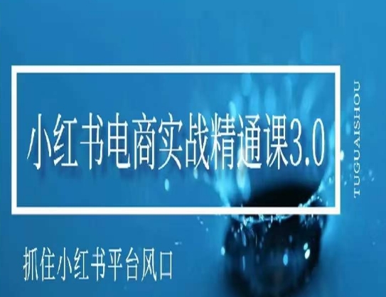 小红书电商实战精通课3.0，抓住小红书平台的风口，不错过有一个赚钱的机会-狼哥资源库