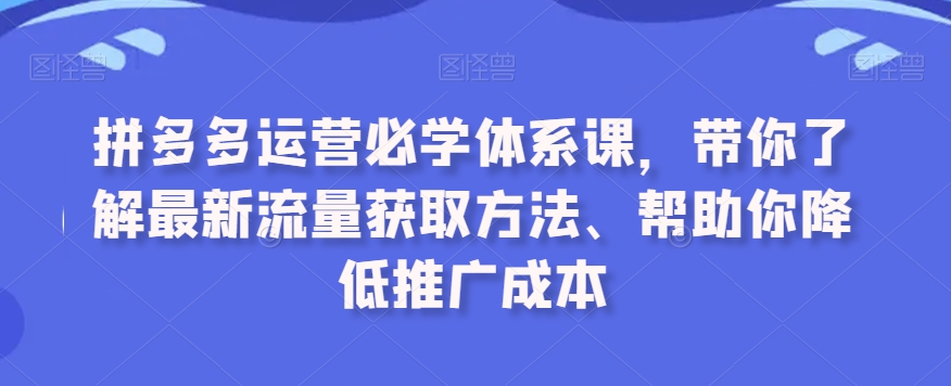 拼多多运营必学体系课，带你了解最新流量获取方法、帮助你降低推广成本-狼哥资源库