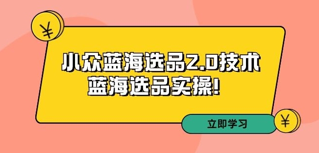 拼多多培训第33期：小众蓝海选品2.0技术-蓝海选品实操！-狼哥资源库