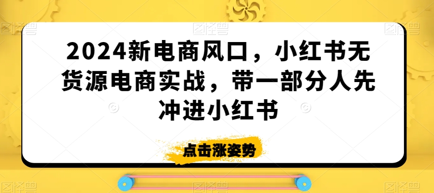 2024新电商风口，小红书无货源电商实战，带一部分人先冲进小红书-狼哥资源库