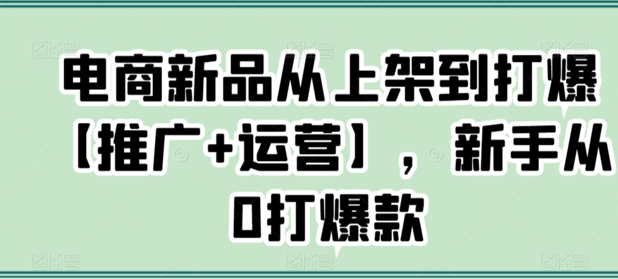 电商新品从上架到打爆【推广+运营】，新手从0打爆款-狼哥资源库